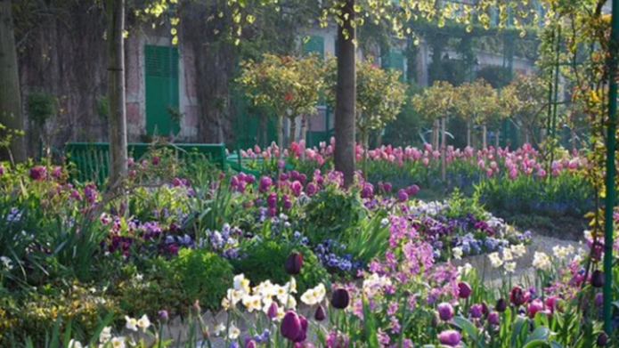 Monet